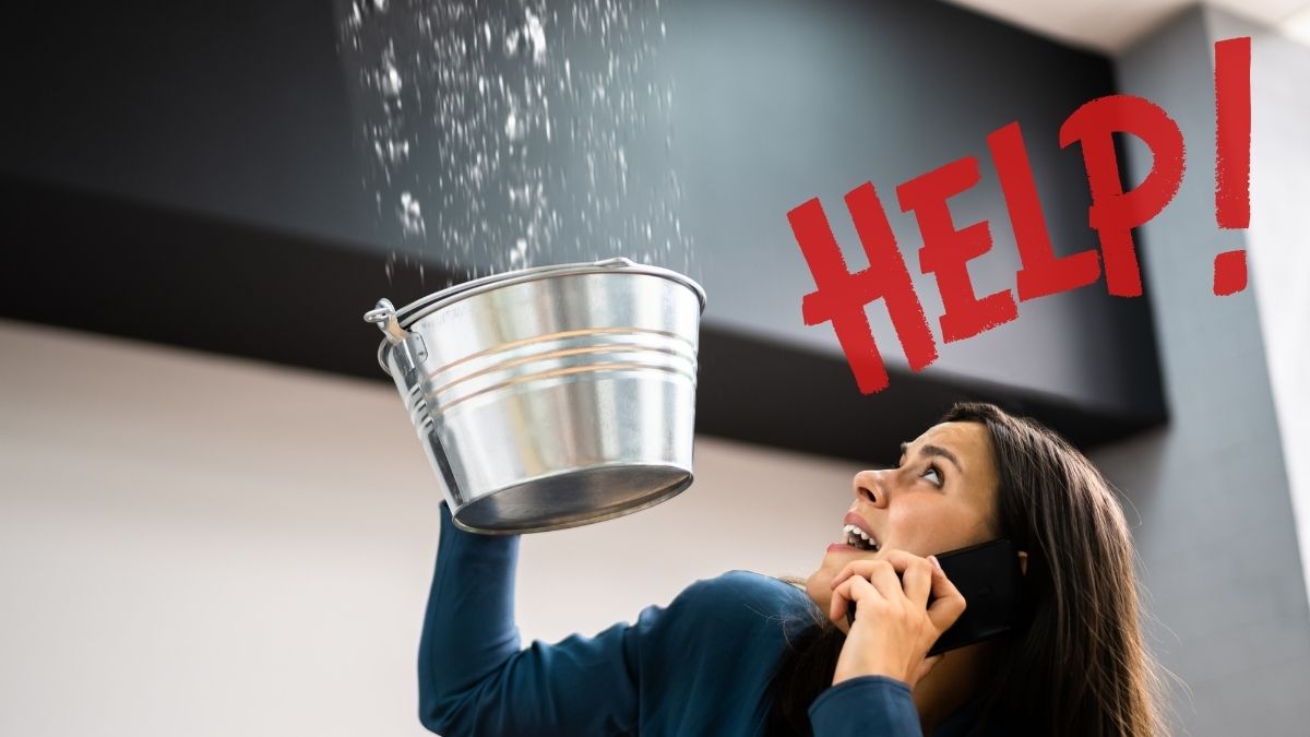 緊急時の一次対応と診断の重要性